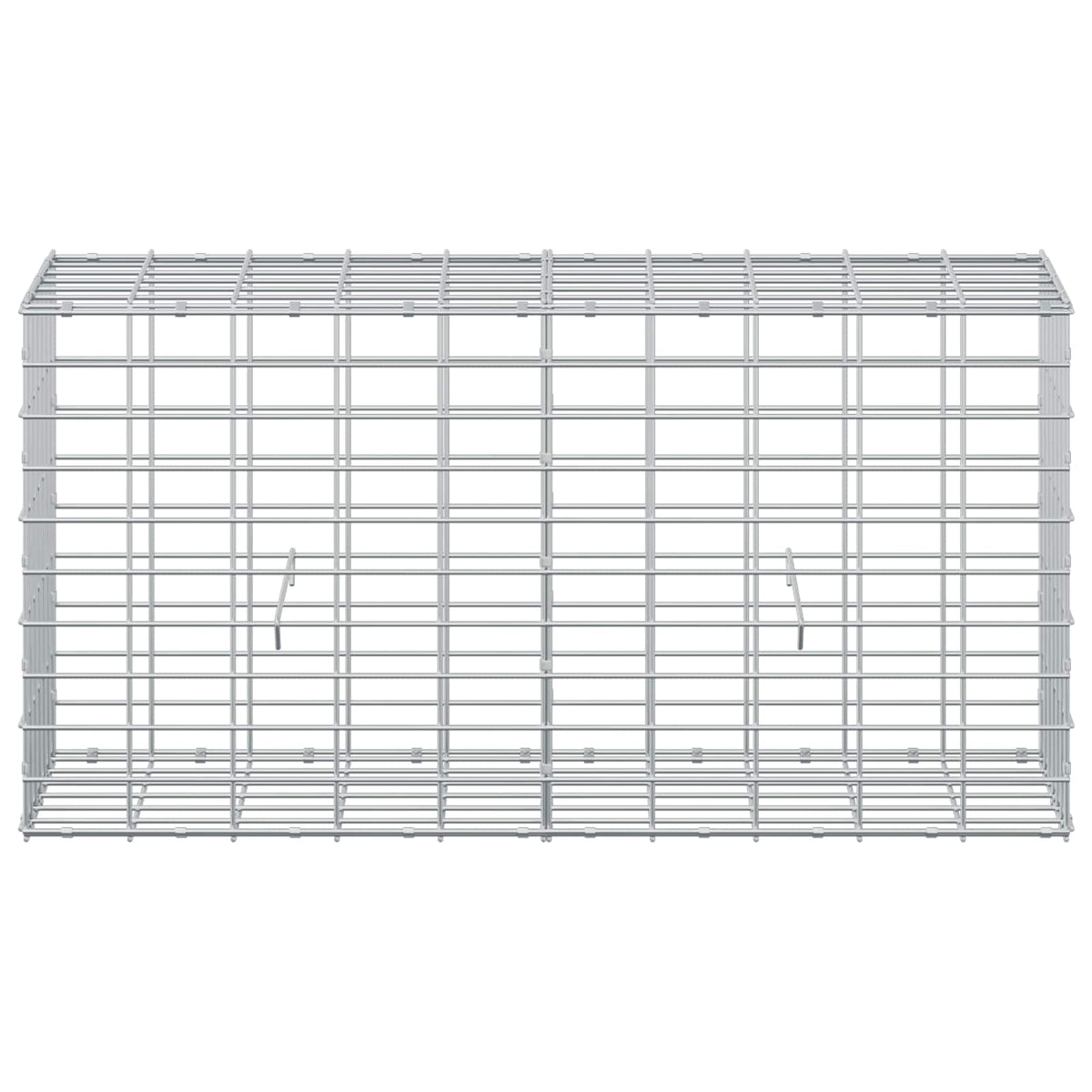 Γκαμπιόν με σύρμα 5 mm και πλέγμα 5x10 cm 100x30x50 εκ - Pakobazaar