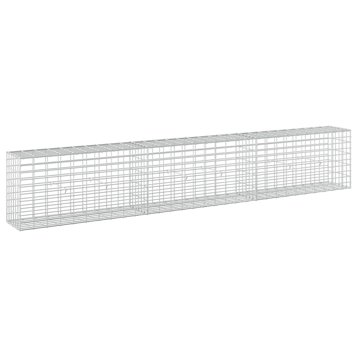 Γκαμπιόν με σύρμα 5 mm και πλέγμα 5x10 cm 300x30x50 εκ
