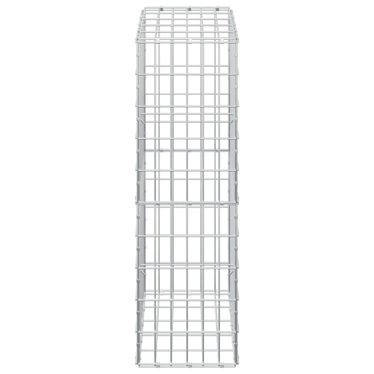 Γκαμπιόν με σύρμα 5 mm και πλέγμα 5x10 cm 50x30x100 εκ - Pakobazaar