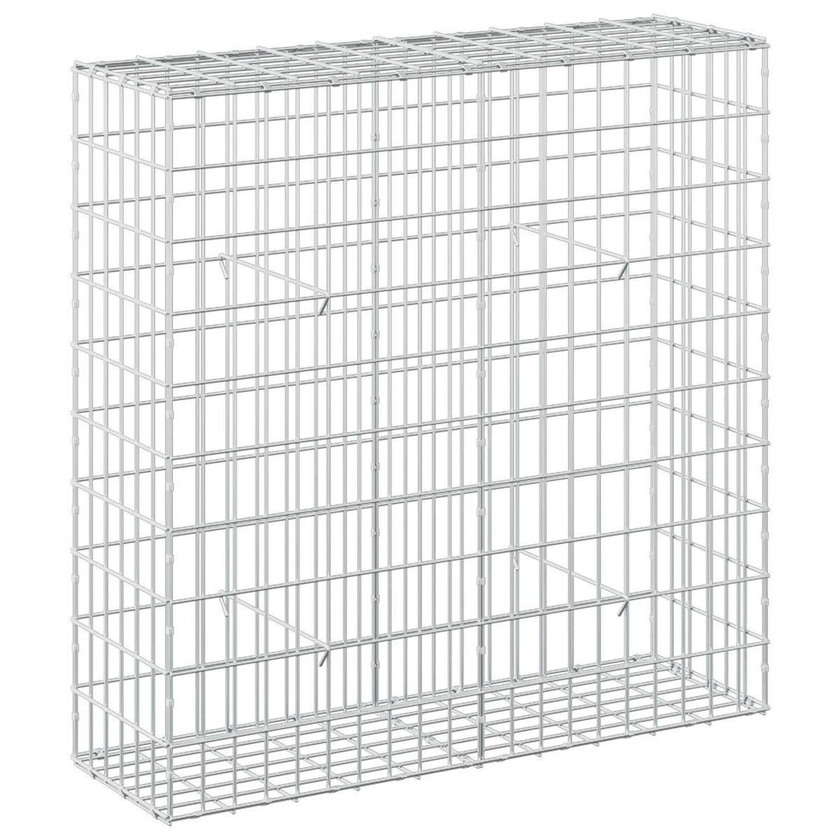Γκαμπιόν με σύρμα 5 mm και πλέγμα 5x10 cm 100x30x100 εκ - Pakobazaar