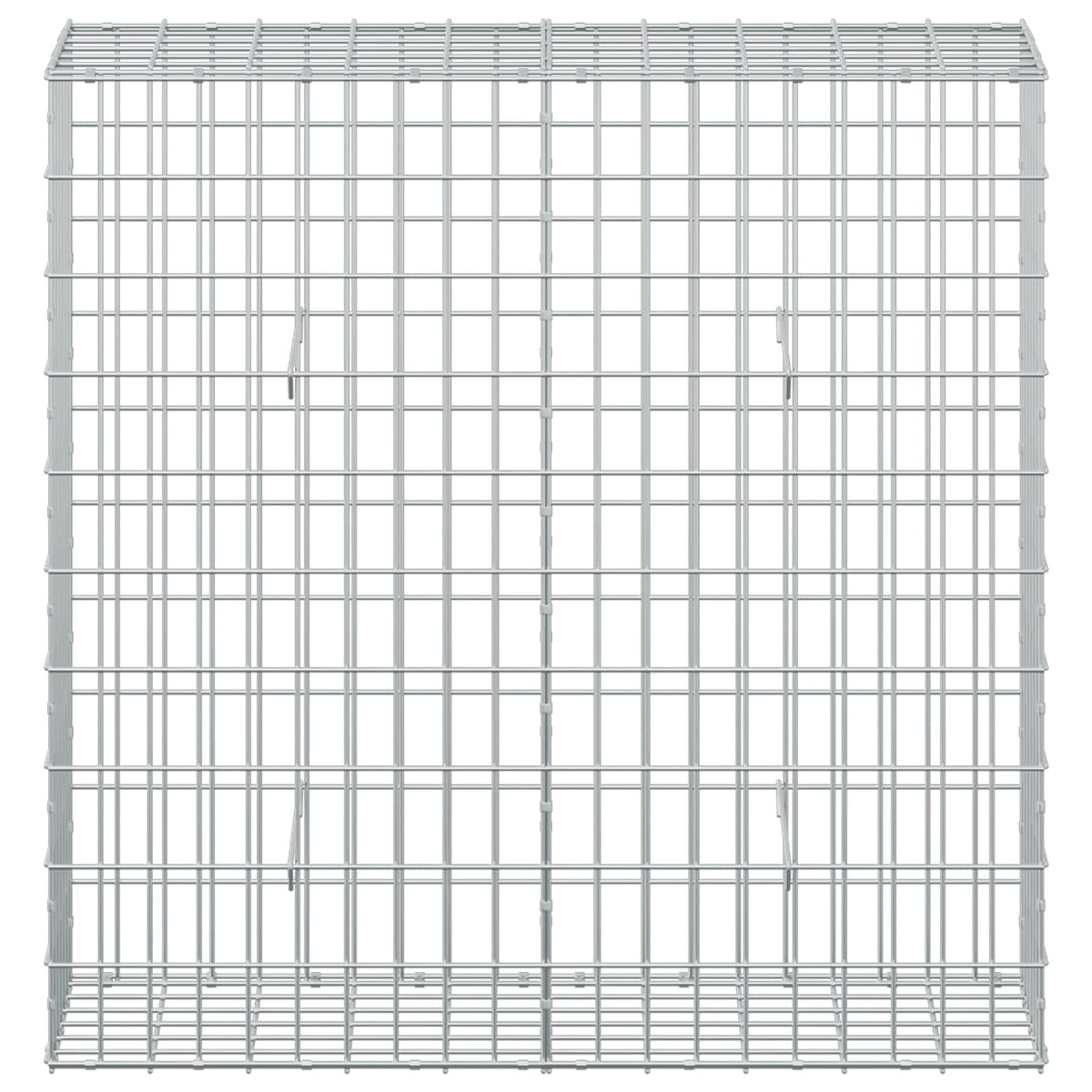 Γκαμπιόν με σύρμα 5 mm και πλέγμα 5x10 cm 100x30x100 εκ - Pakobazaar