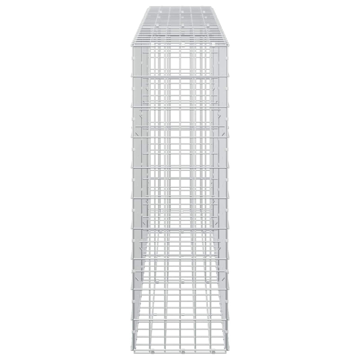 Γκαμπιόν με σύρμα 5 mm και πλέγμα 5x10 cm 250x30x100 εκ - Pakobazaar