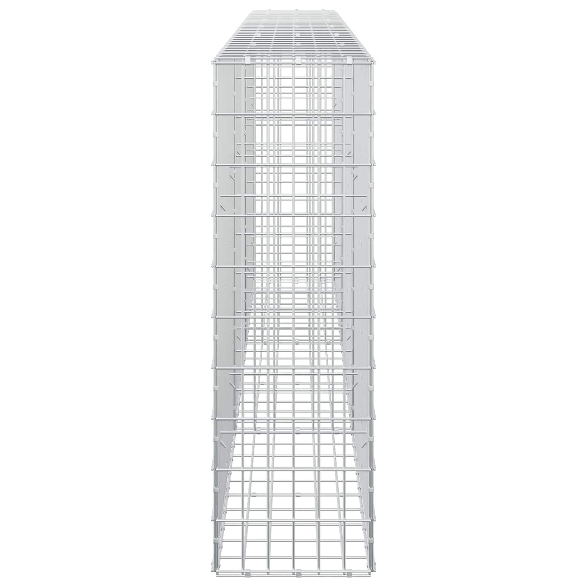 Γκαμπιόν με σύρμα 5 mm και πλέγμα 5x10 cm 300x30x100 εκ - Pakobazaar