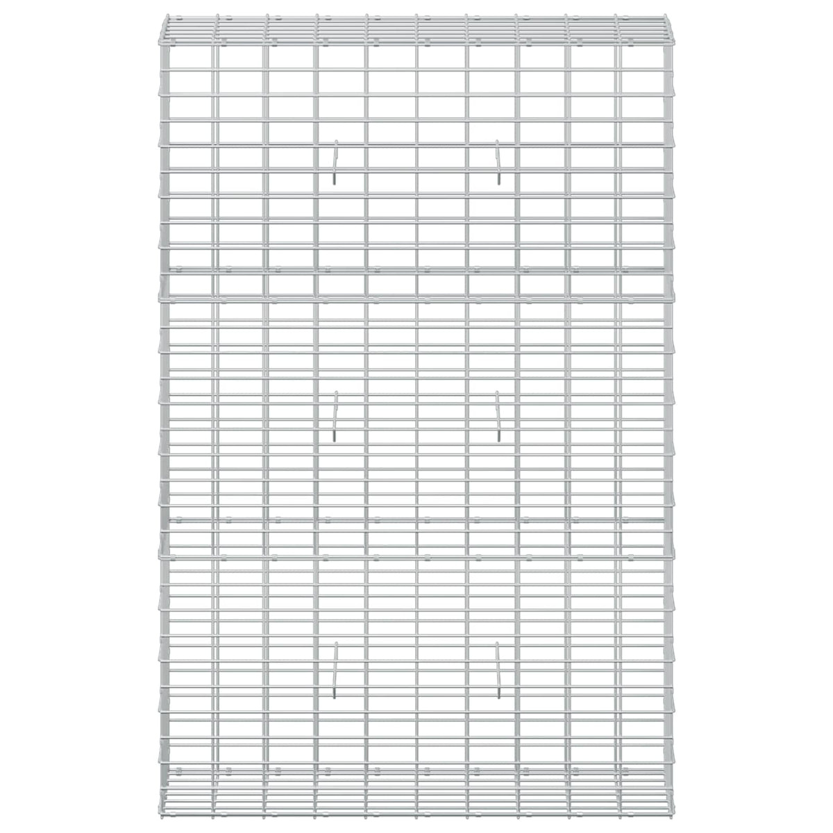 Γκαμπιόν με σύρμα 5 mm και πλέγμα 5x10 cm 100x30x150 εκ