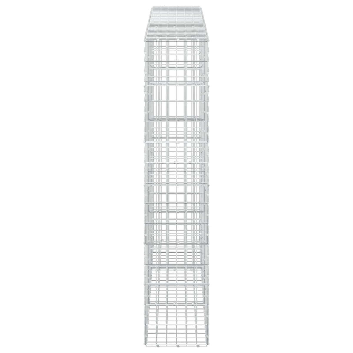 Γκαμπιόν με σύρμα 5 mm και πλέγμα 5x10 cm 300x30x150 εκ - Pakobazaar