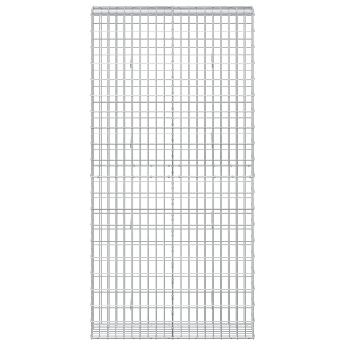 Γκαμπιόν με σύρμα 5 mm και πλέγμα 5x10 cm 100x30x200 εκ.