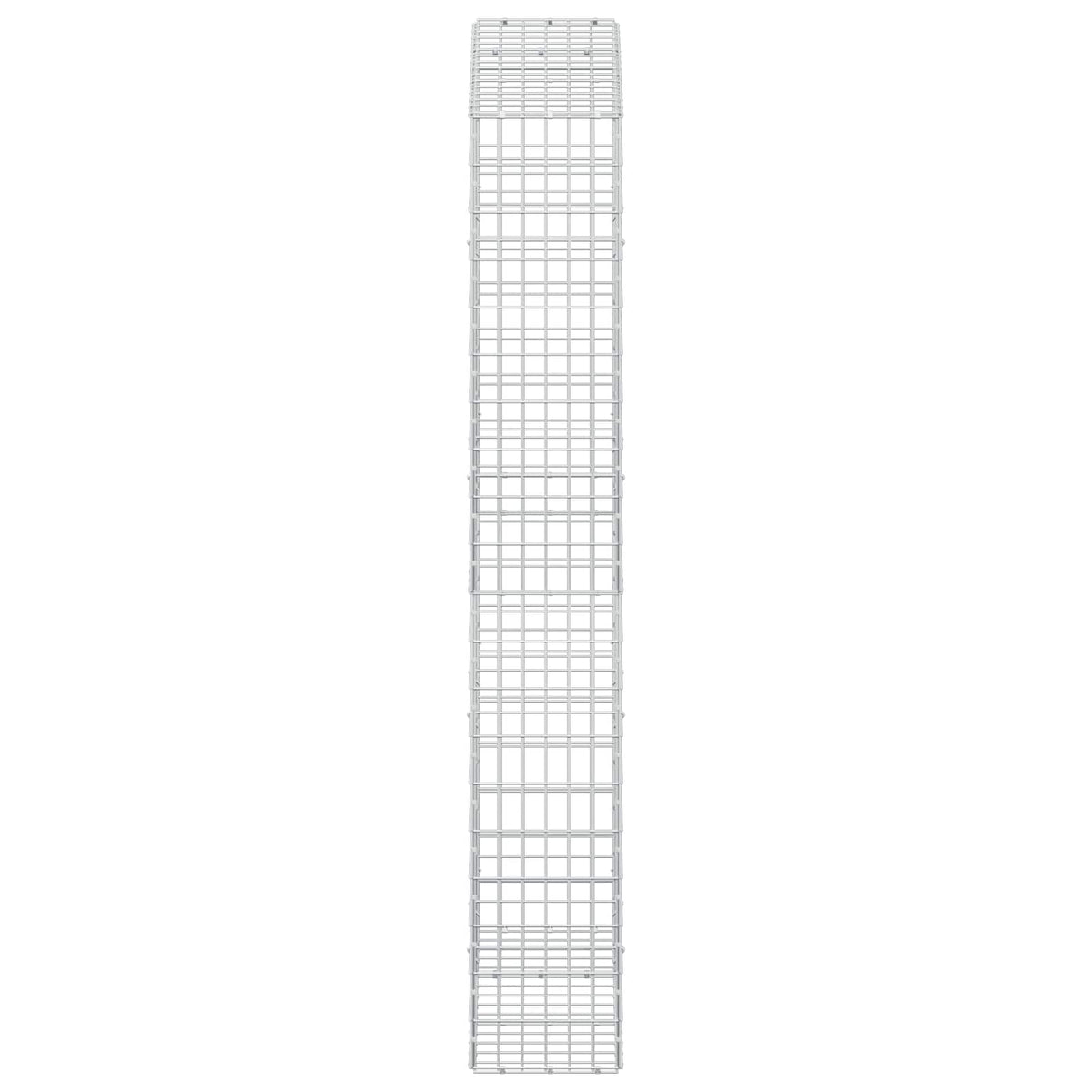 Γκαμπιόν με σύρμα 5 mm και πλέγμα 5x10 cm 150x30x200 εκ - Pakobazaar