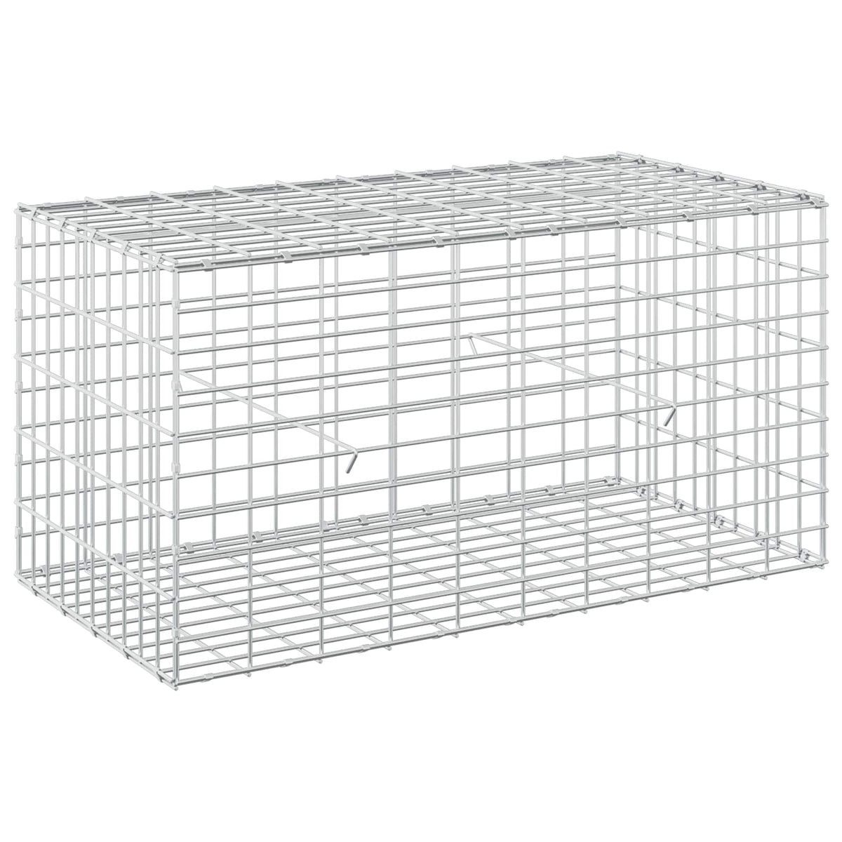 Γκαμπιόν με σύρμα 5 mm και πλέγμα 5x10 cm 100x50x50 εκ - Pakobazaar