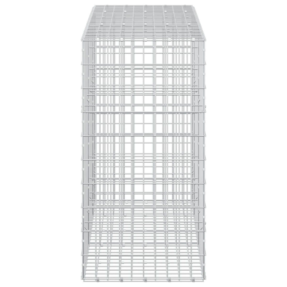 Γκαμπιόν με σύρμα 5 mm και πλέγμα 5x10 cm 250x50x100 εκ - Pakobazaar