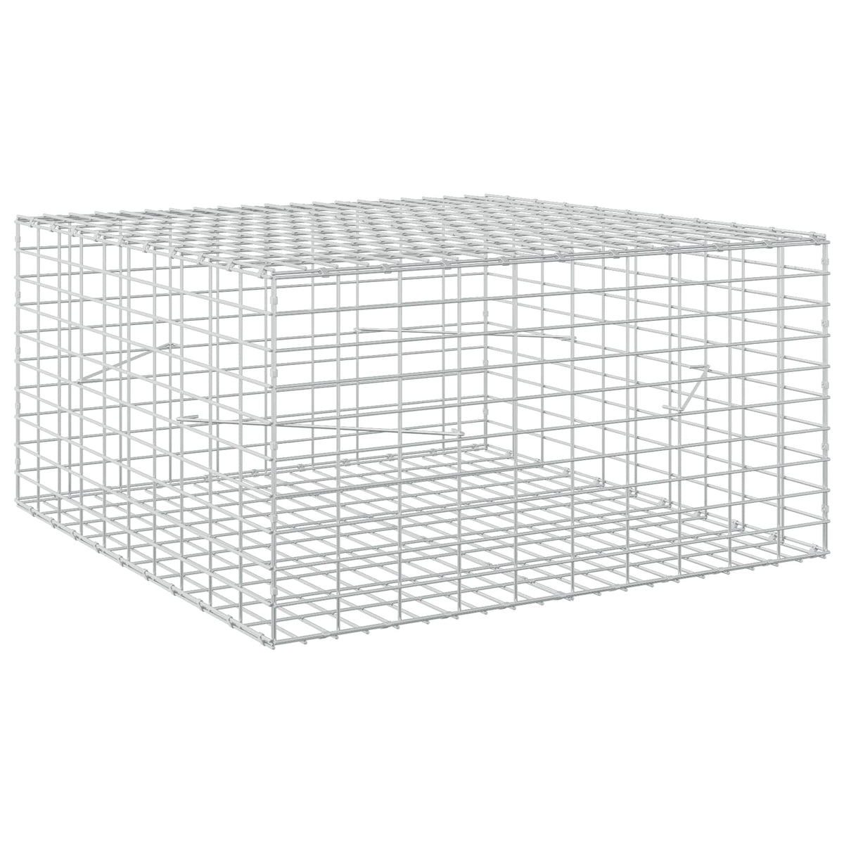 Γκαμπιόν με σύρμα 5 mm και πλέγμα 5x10 cm 100x100x50 εκ - Pakobazaar