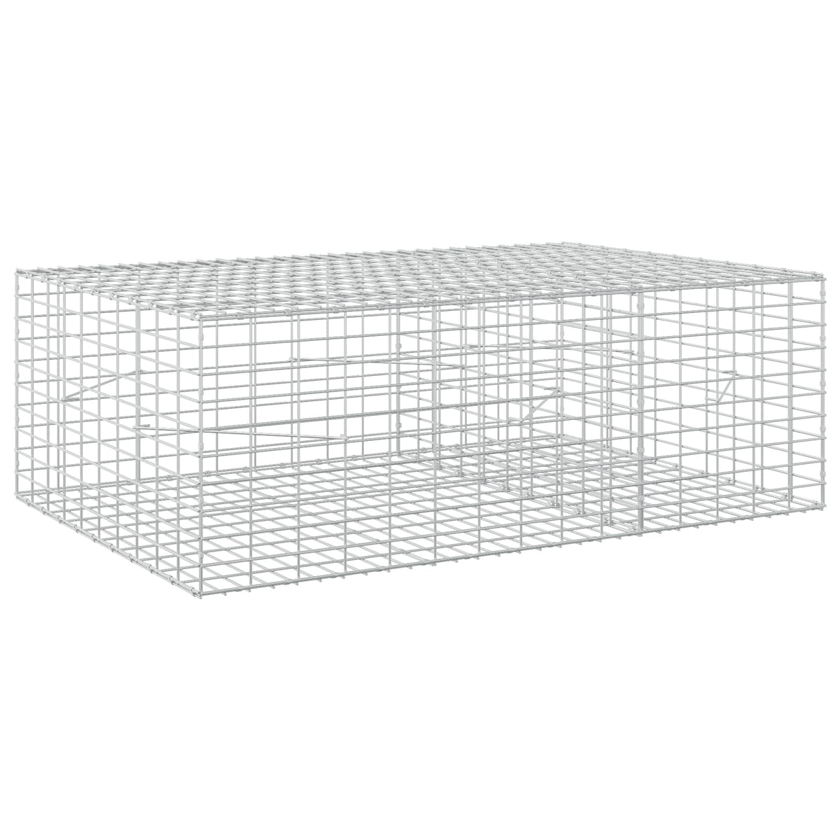 Γκαμπιόν με σύρμα 5 mm και πλέγμα 5x10 cm 150x100x50 εκ - Pakobazaar