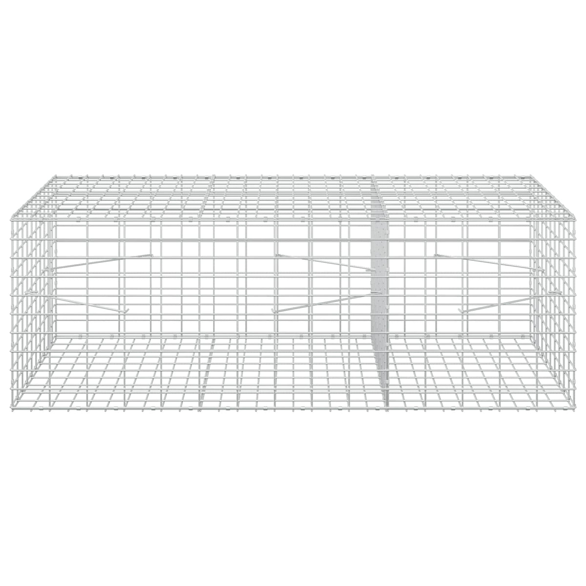 Γκαμπιόν με σύρμα 5 mm και πλέγμα 5x10 cm 150x100x50 εκ - Pakobazaar