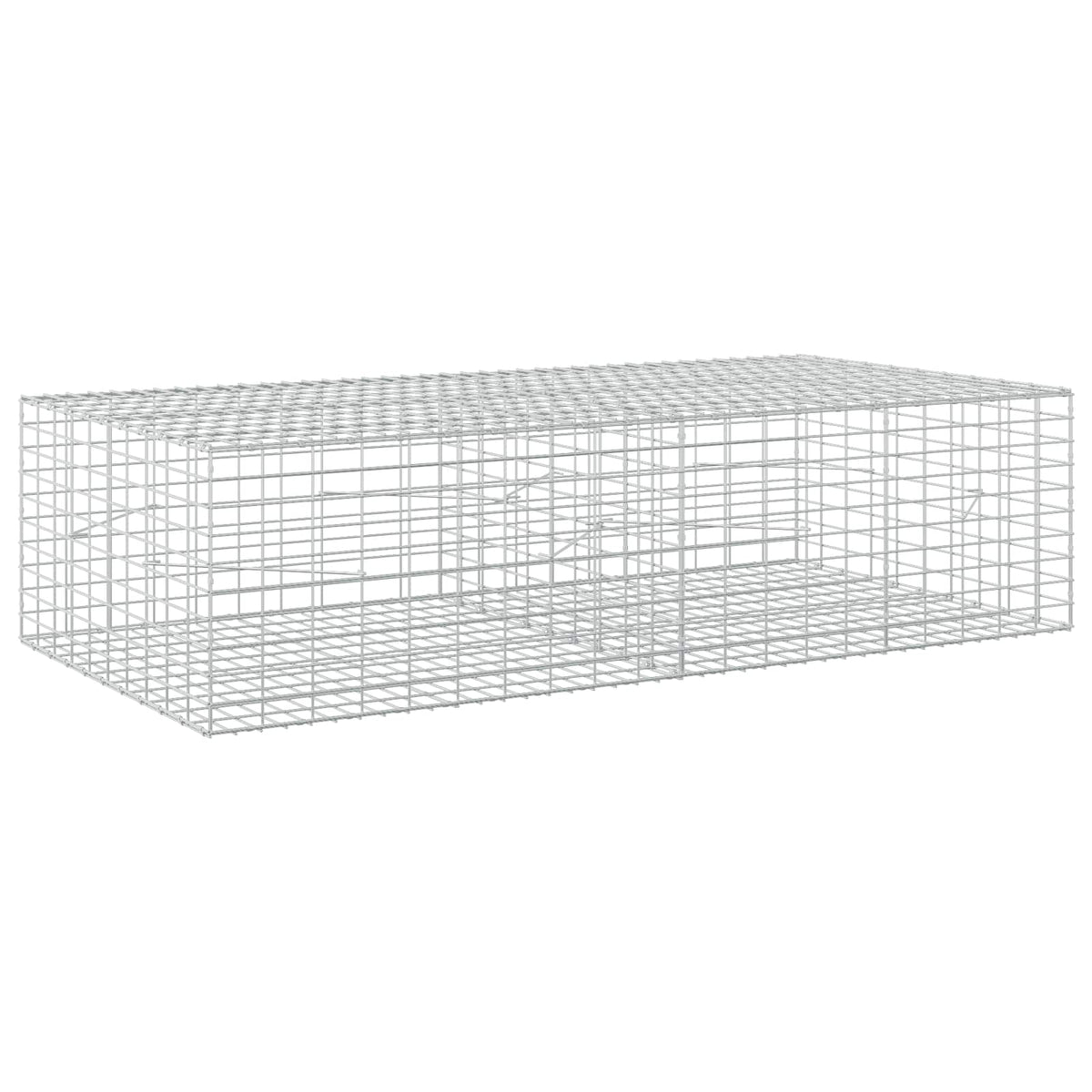 Γκαμπιόν με σύρμα 5 mm και πλέγμα 5x10 cm 200x100x50 εκ - Pakobazaar