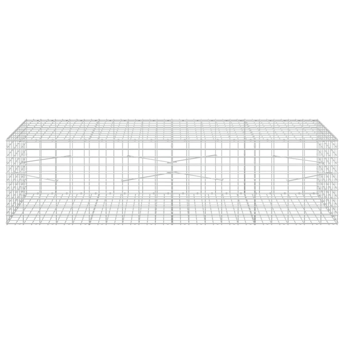 Γκαμπιόν με σύρμα 5 mm και πλέγμα 5x10 cm 200x100x50 εκ - Pakobazaar
