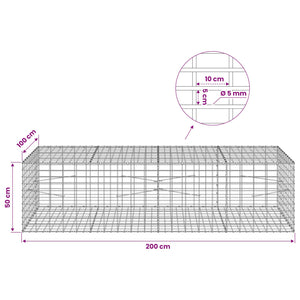 Γκαμπιόν με σύρμα 5 mm και πλέγμα 5x10 cm 200x100x50 εκ - Pakobazaar