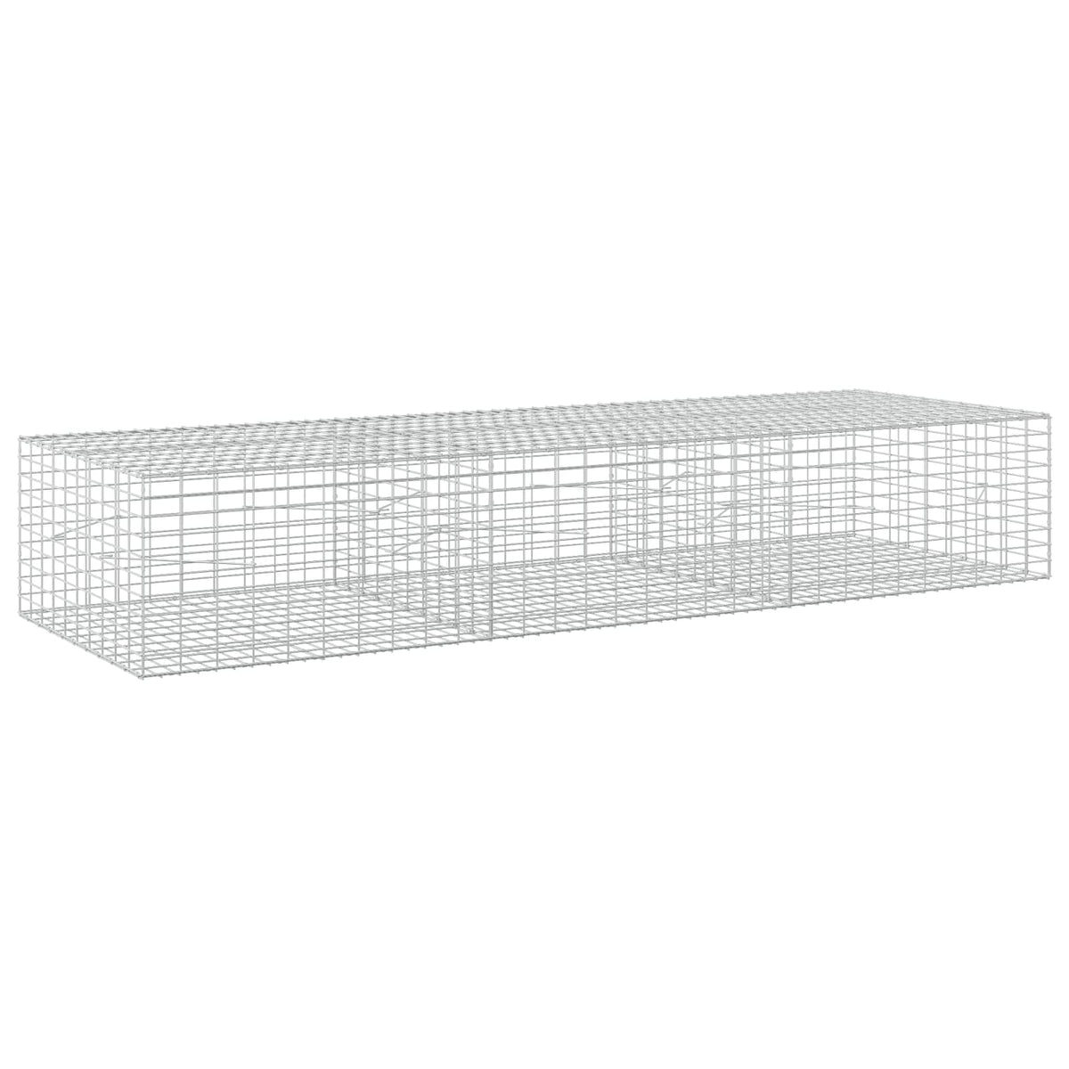 Γκαμπιόν με σύρμα 5 mm και πλέγμα 5x10 cm 300x100x50 εκ - Pakobazaar