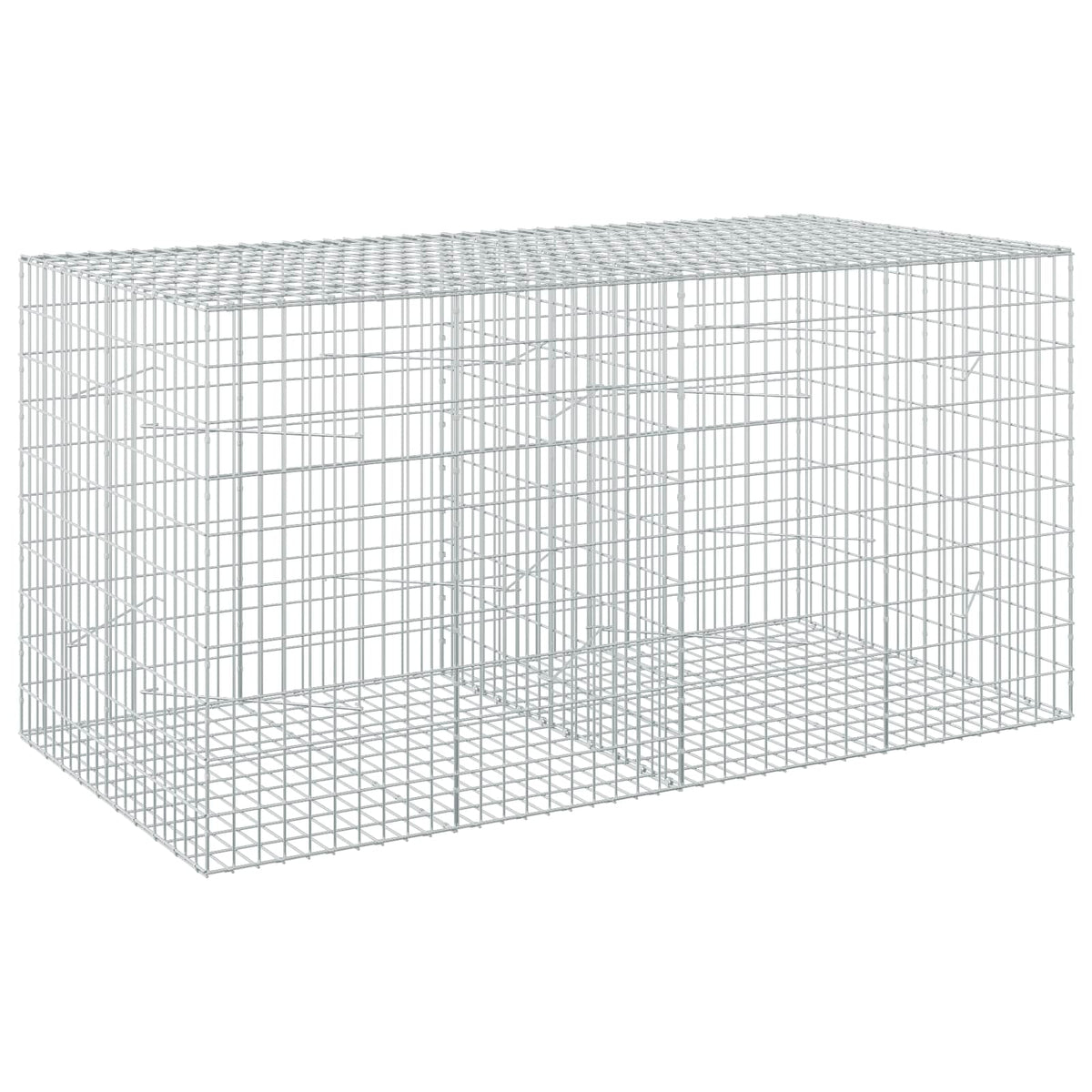 Γκαμπιόν με σύρμα 5 mm και πλέγμα 5x10 cm 200x100x100 εκ.