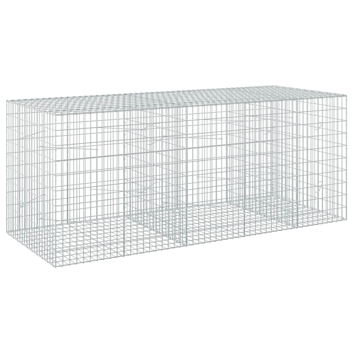 Γκαμπιόν με σύρμα 5 mm και πλέγμα 5x10 cm 250x100x100 εκ.