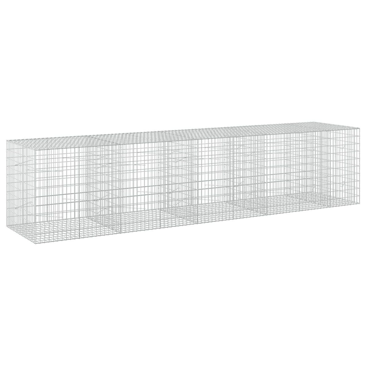 Γκαμπιόν με σύρμα 5 mm και πλέγμα 5x10 cm 450x100x100 εκ