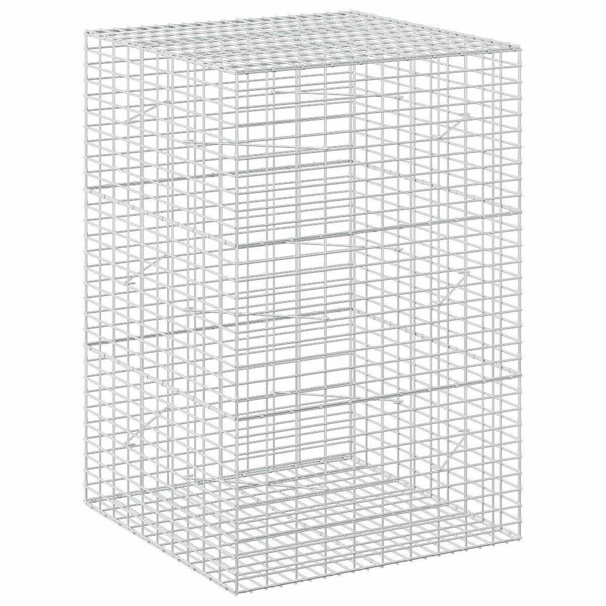 Γκαμπιόν με σύρμα 5 mm και πλέγμα 5x10 cm 100x100x150 εκ