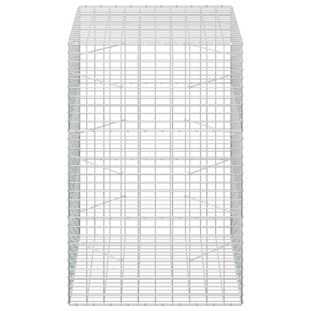 Γκαμπιόν με σύρμα 5 mm και πλέγμα 5x10 cm 100x100x150 εκ