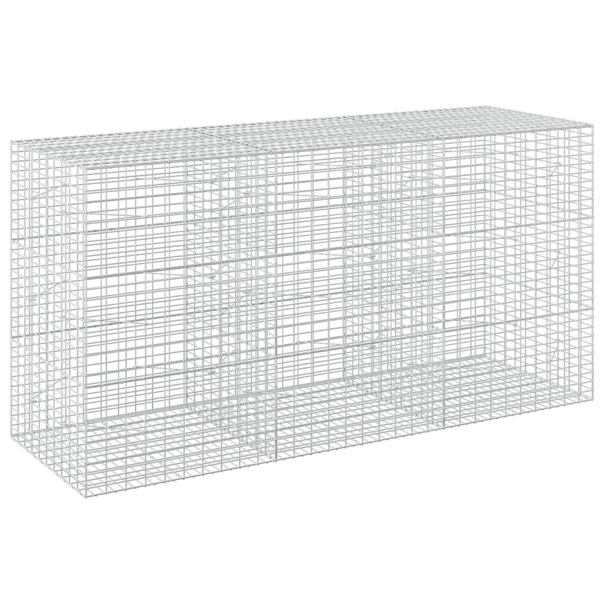 Γκαμπιόν με σύρμα 5 mm και πλέγμα 5x10 cm 300x100x150 εκ