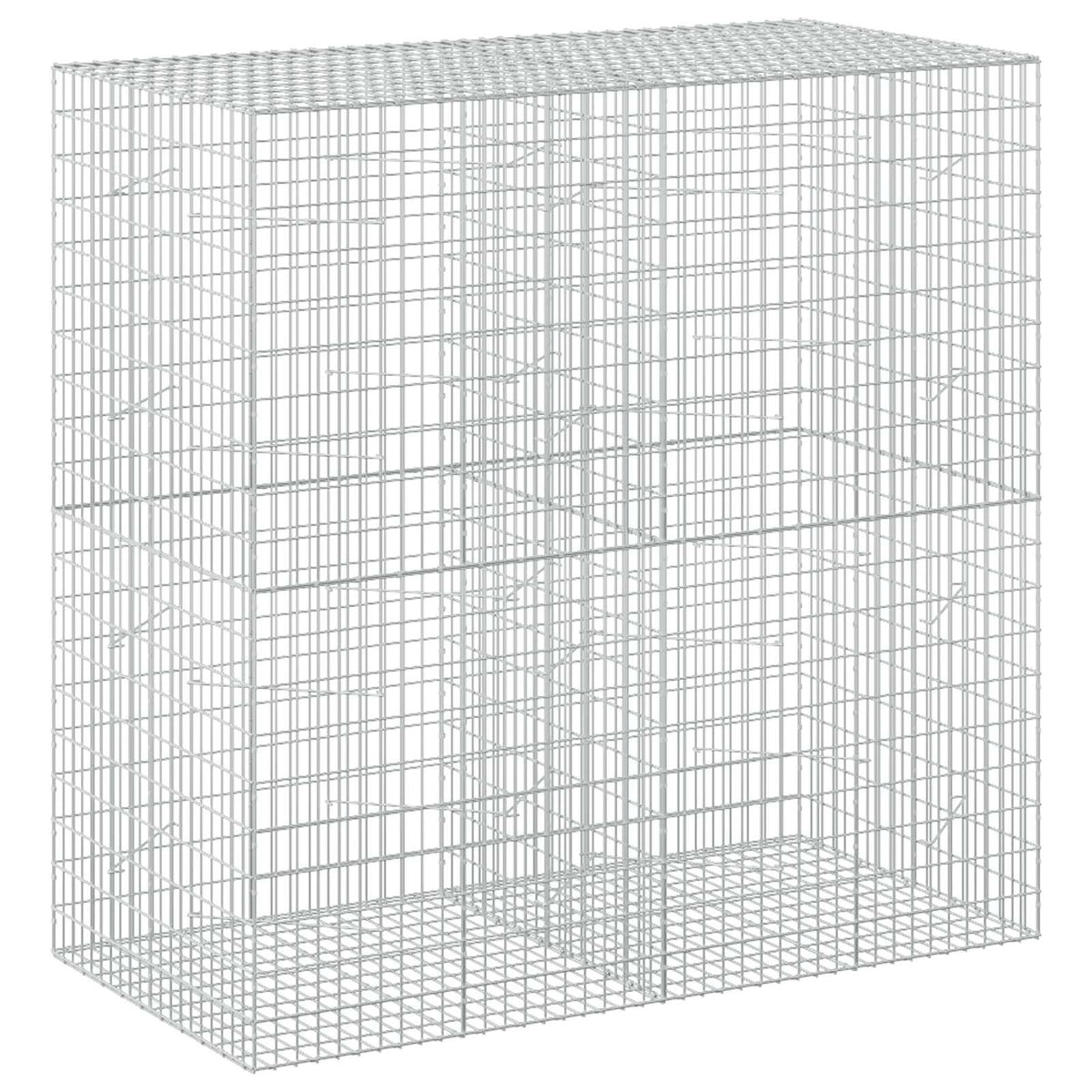 Γκαμπιόν με σύρμα 5 mm και πλέγμα 5x10 cm 200x100x200 εκ - Pakobazaar