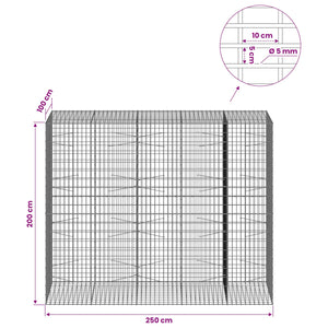 Γκαμπιόν με σύρμα 5 mm και πλέγμα 5x10 cm 250x100x200 εκ.