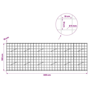 Γκαμπιόν με σύρμα 5 mm και πλέγμα 10x10 cm 300x10x100 εκ