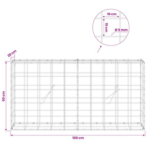 Γκαμπιόν με σύρμα 5 mm και πλέγμα 10x10 cm 100x20x50 εκ