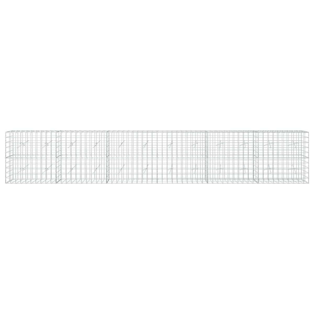 Γκαμπιόν με σύρμα 5 mm και πλέγμα 10x10 cm 600x20x100 εκ - Pakobazaar