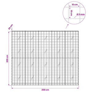 Γκαμπιόν με σύρμα 5 mm και πλέγμα 10x10 cm 250x20x200 εκ. - Pakobazaar