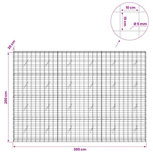Γκαμπιόν με σύρμα 5 mm και πλέγμα 10x10 cm 300x20x200 εκ - Pakobazaar