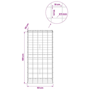 Γκαμπιόν με σύρμα 5 mm και πλέγμα 10x10 cm 50x30x100 εκ - Pakobazaar