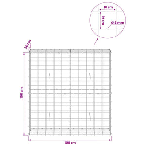 Γκαμπιόν με σύρμα 5 mm και πλέγμα 10x10 cm 100x30x100 εκ