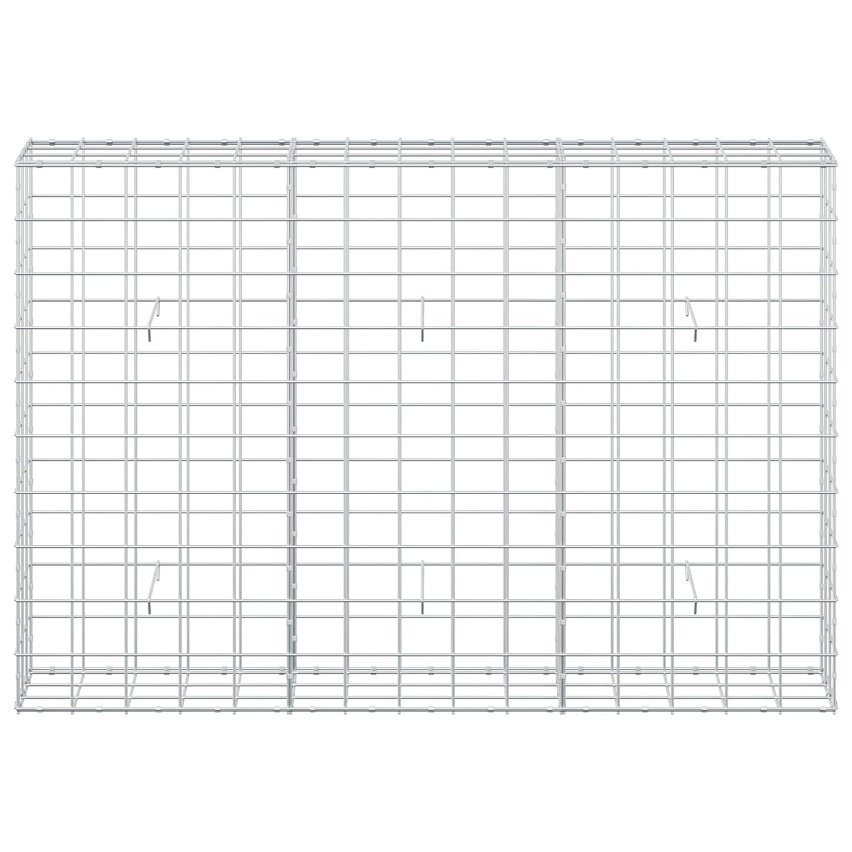 Γκαμπιόν με σύρμα 5 mm και πλέγμα 10x10 cm 150x30x100 εκ