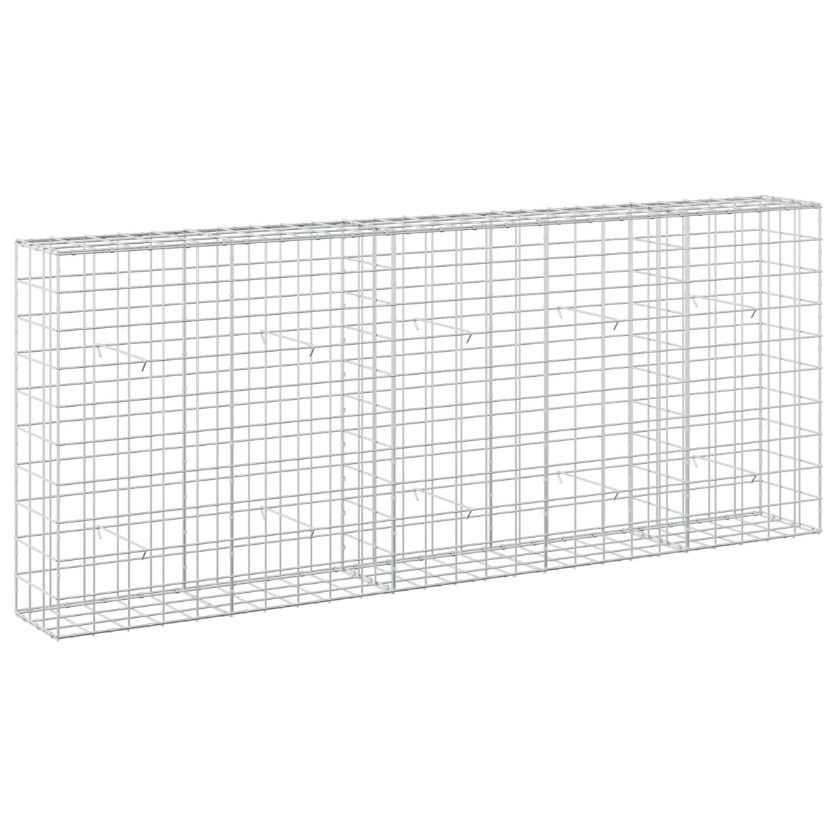 Γκαμπιόν με σύρμα 5 mm και πλέγμα 10x10 cm 250x30x100 εκ - Pakobazaar