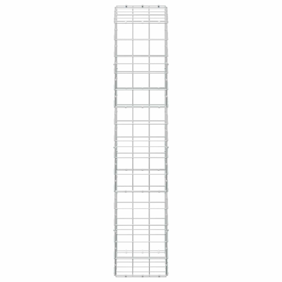 Γκαμπιόν με σύρμα 5 mm και πλέγμα 10x10 cm 50x30x150 εκ - Pakobazaar