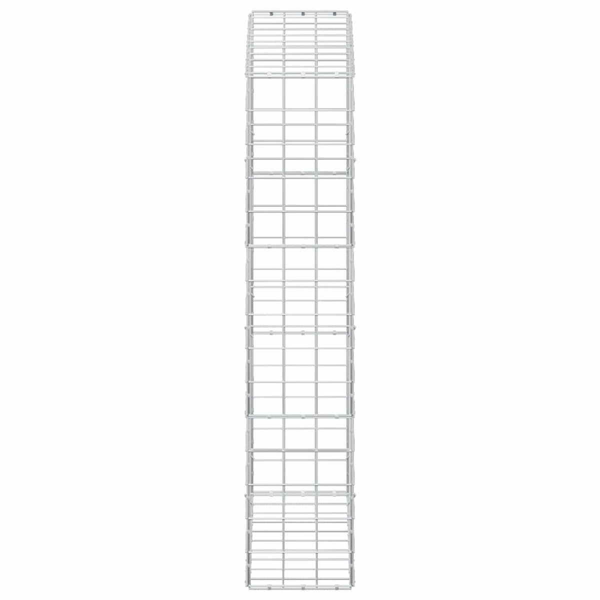 Γκαμπιόν με σύρμα 5 mm και πλέγμα 10x10 cm 100x30x150 εκ - Pakobazaar