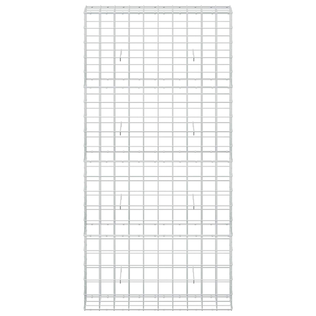 Γκαμπιόν με σύρμα 5 mm και πλέγμα 10x10 cm 100x30x200 εκ. - Pakobazaar