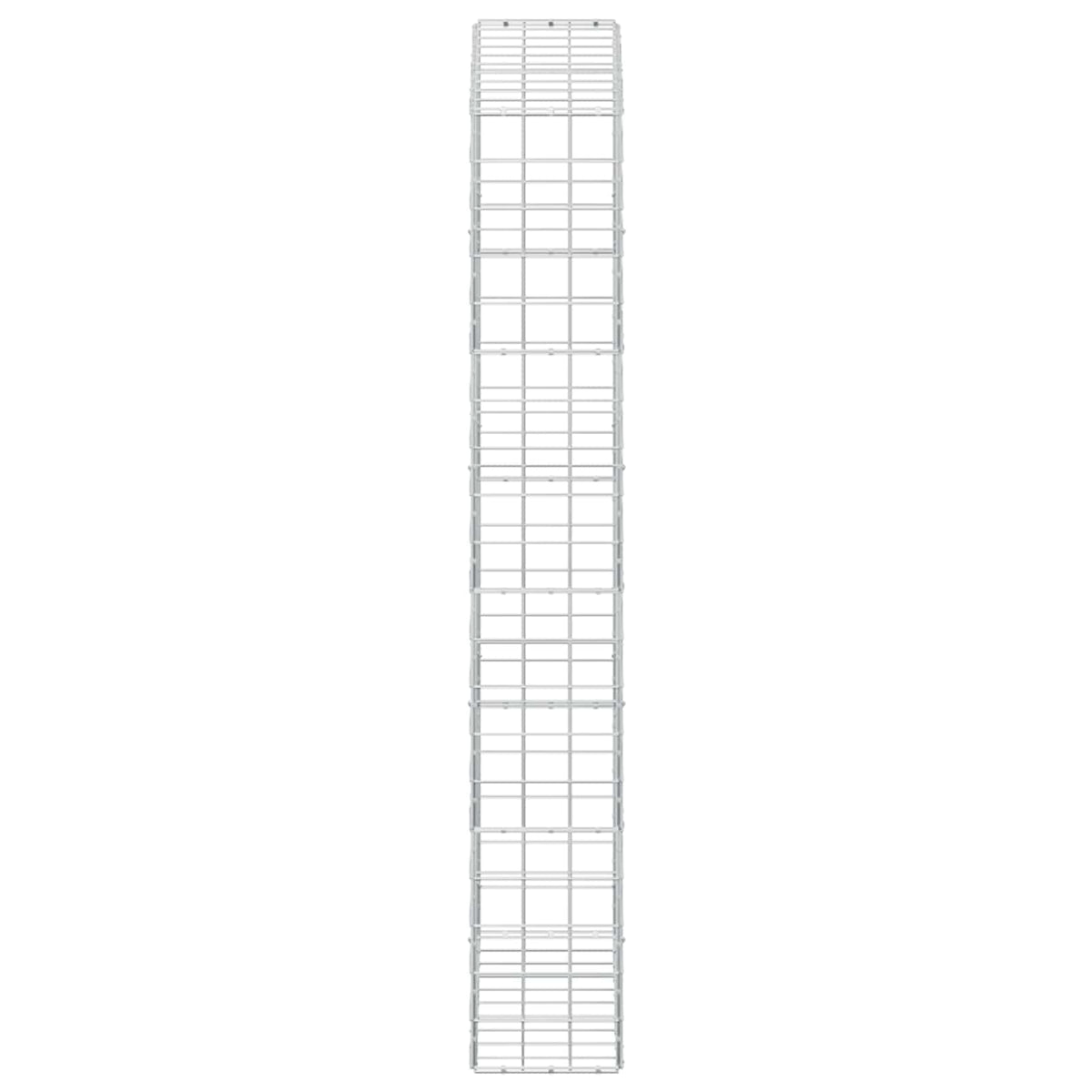 Γκαμπιόν με σύρμα 5 mm και πλέγμα 10x10 cm 100x30x200 εκ. - Pakobazaar