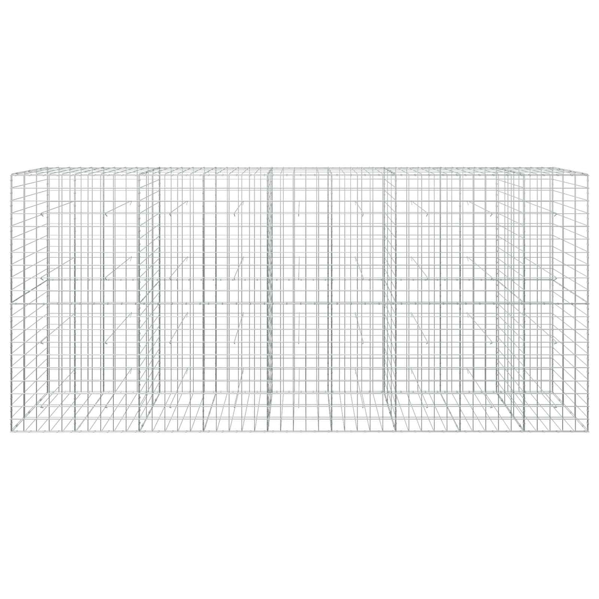 Γκαμπιόν με σύρμα 5 mm και πλέγμα 10x10 cm 450x30x200 εκ - Pakobazaar