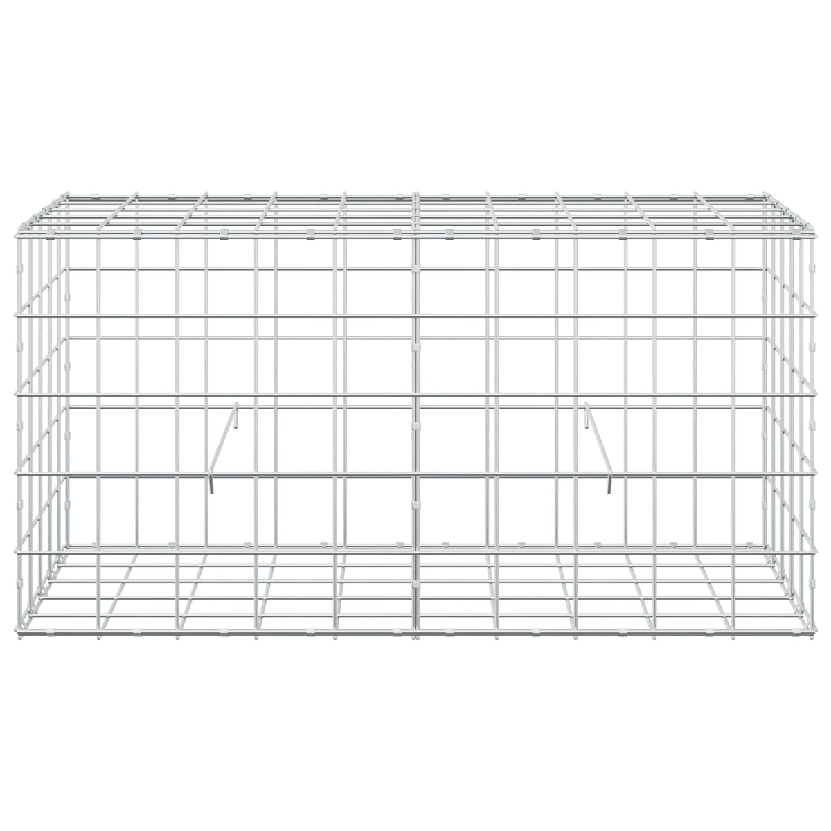 Γκαμπιόν με σύρμα 5 mm και πλέγμα 10x10 cm 100x50x50 εκ
