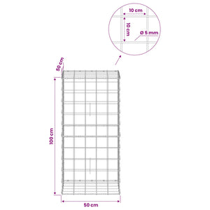 Γκαμπιόν με σύρμα 5 mm και πλέγμα 10x10 cm 50x50x100 εκ