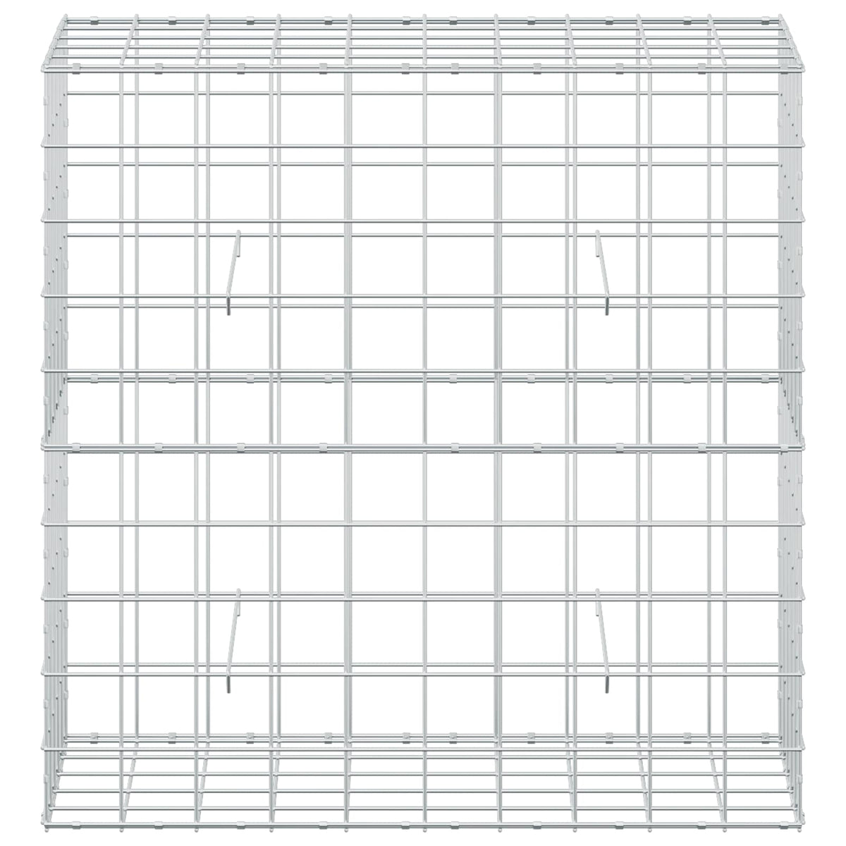 Γκαμπιόν με σύρμα 5 mm και πλέγμα 10x10 cm 100x50x100 εκ - Pakobazaar