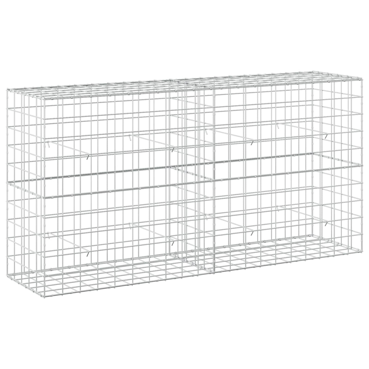 Γκαμπιόν με σύρμα 5 mm και πλέγμα 10x10 cm 200x50x100 εκ - Pakobazaar