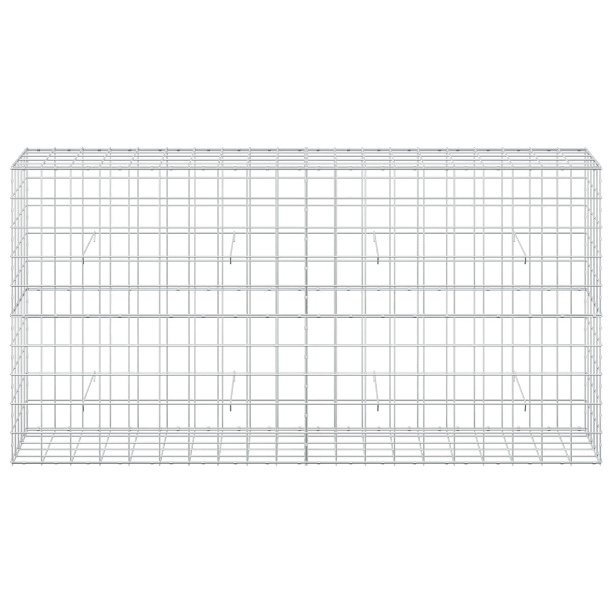 Γκαμπιόν με σύρμα 5 mm και πλέγμα 10x10 cm 200x50x100 εκ - Pakobazaar
