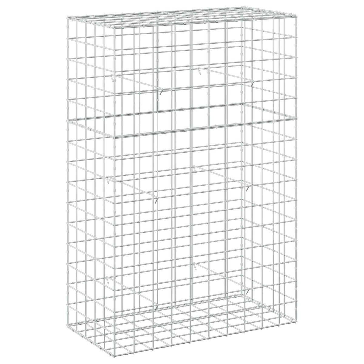 Γκαμπιόν με σύρμα 5 mm και πλέγμα 10x10 cm 100x50x150 εκ - Pakobazaar