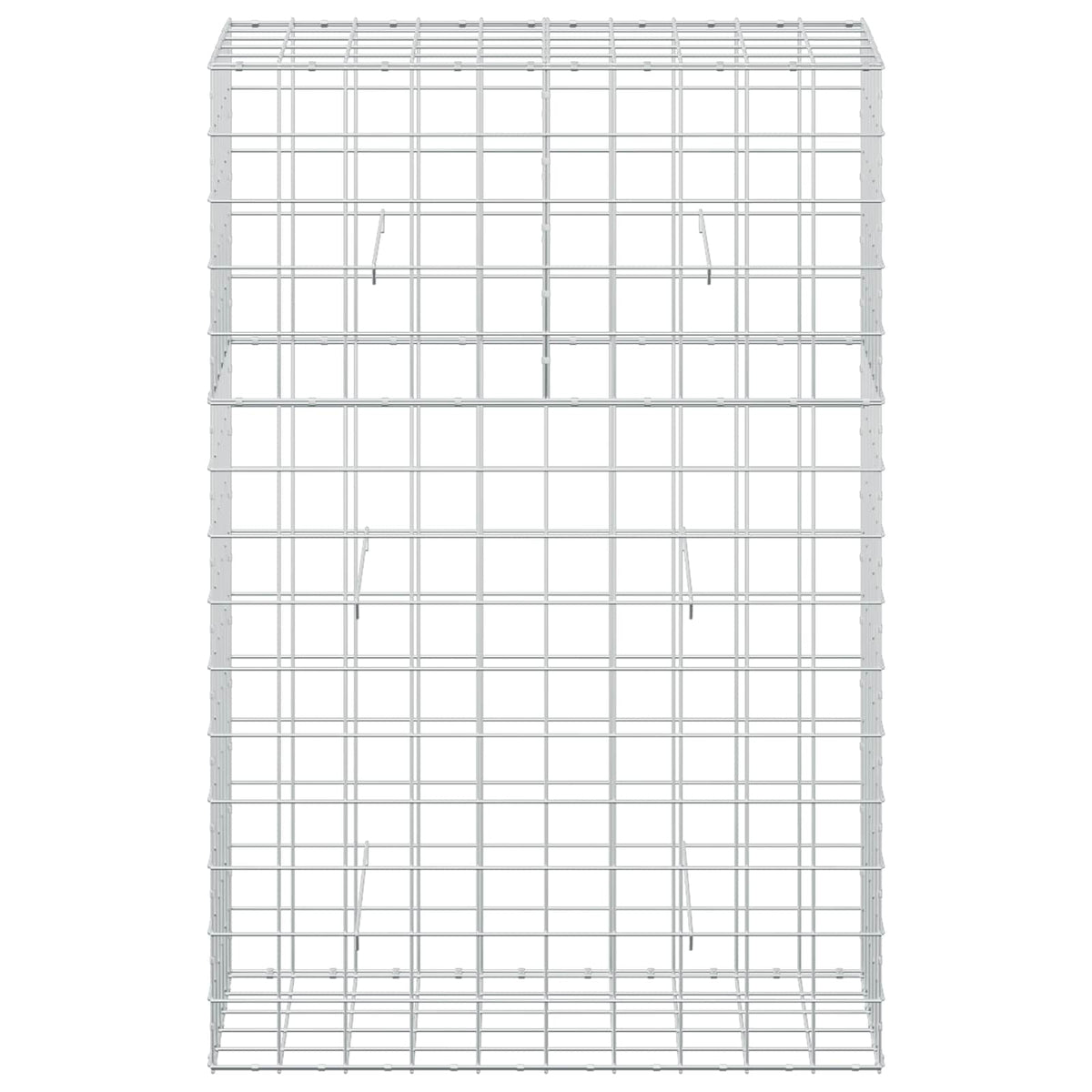 Γκαμπιόν με σύρμα 5 mm και πλέγμα 10x10 cm 100x50x150 εκ - Pakobazaar