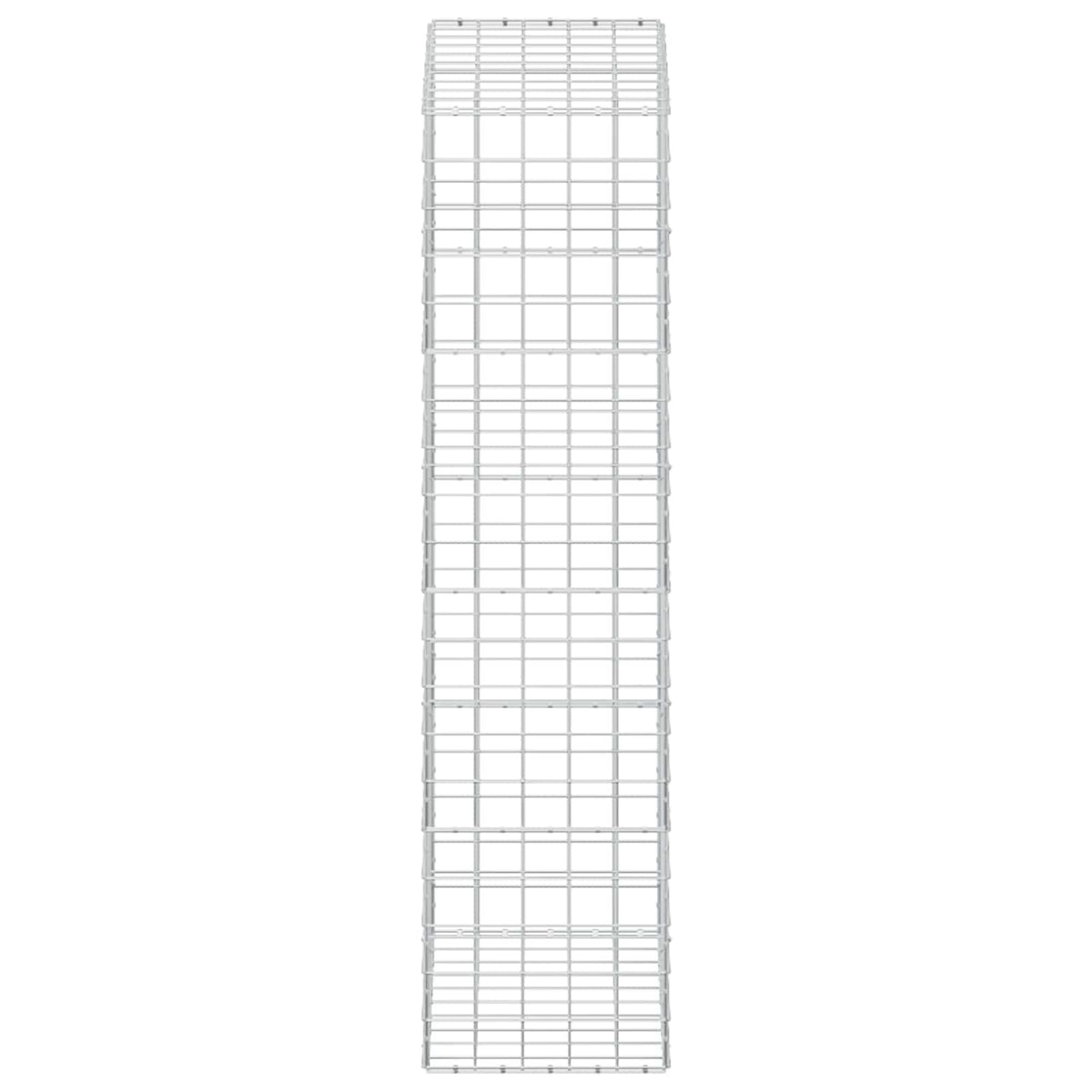 Γκαμπιόν με σύρμα 5 mm και πλέγμα 10x10 cm 100x50x200 cm - Pakobazaar